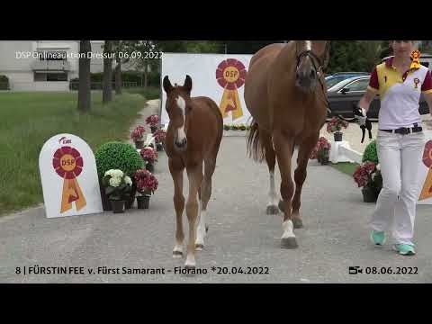 8 Fürst Samarant Fiorano