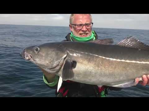 Big Five Norway Cup 2025 Angelturnier auf Froya - Dorsch - Köhler - Pollack - Leng - Lumb