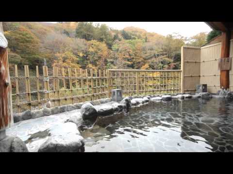 尾瀬檜枝岐温泉 温泉紹介