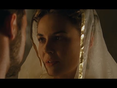 Gladiator - To The Heart Of A Multi Petal Rose