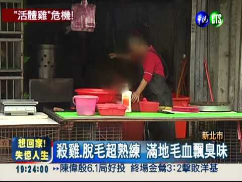 市場變屠宰場! 雞販現宰環境噁亂