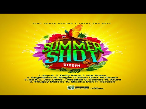 Summer Shot Riddim {Mix} Zinc House Records / Frenz For Real /  Hot Frass, Delly Ranx, Jay-A, Ita K.
