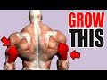 3 Best Exercises for BIG TRICEPS!