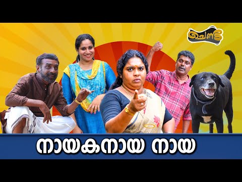 നായകനായ നായ | SAJAN PALLURUTHY | CHENDA | COMEDY | WEBSERIES | 2023 |