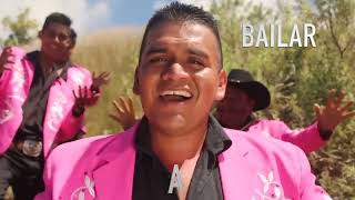 El Pasito Perrón Dinastia Mendoza VIDEO OFICIAL  Morena Music