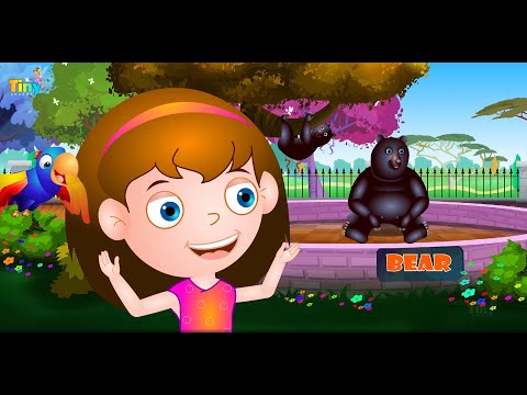 Sharad Mante Animation 