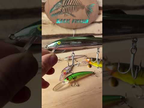 Insane Looking Fishing Lure