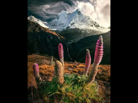 César Teruel. Cómo se vive: Viendo sin involucrarse. Sobre el "libre albedrío"  22Jun2024