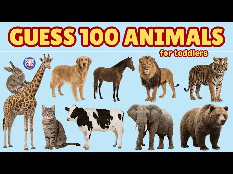 100 Animals for Toddlers | Guess the Animal Names for Kids | Fun English Vocabulary Learning