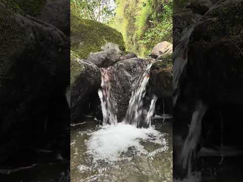 #fypシ #viajes #river #montains #parati #forest  #quindio #armenia #salento #colombia