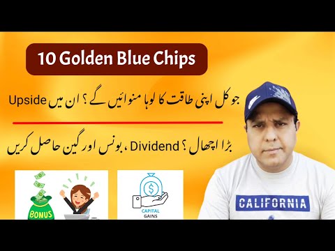 10 Golden Blue Chip Companies in Pakistan Stock market