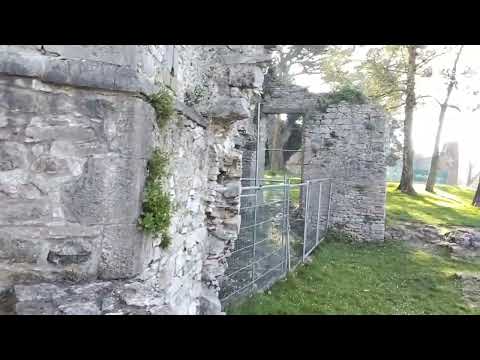 Old Mallow Castle. V271