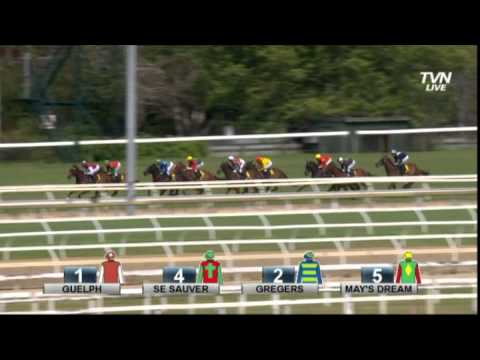 2013 Thousand Guineas -Guelph