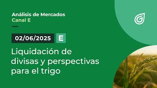 Liquidación de divisas y perspectivas para el trigo | Entrevista Canal E
