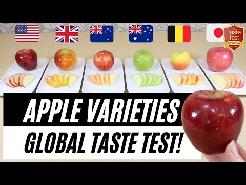 FASCINATING APPLE TASTE TEST! | Is this the BEST Tasting Apple in the World?!?