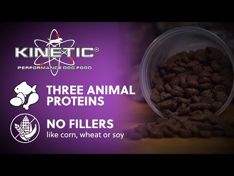 Introducing Kinetic Performance Dog Food