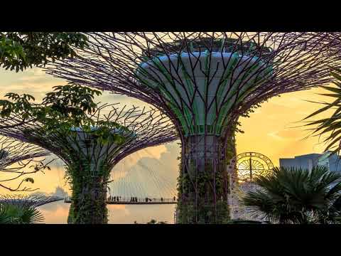 Austin Leeds & Nick Terranova - Acid Disco (Nick Terranova Starkillers Empire Mix)