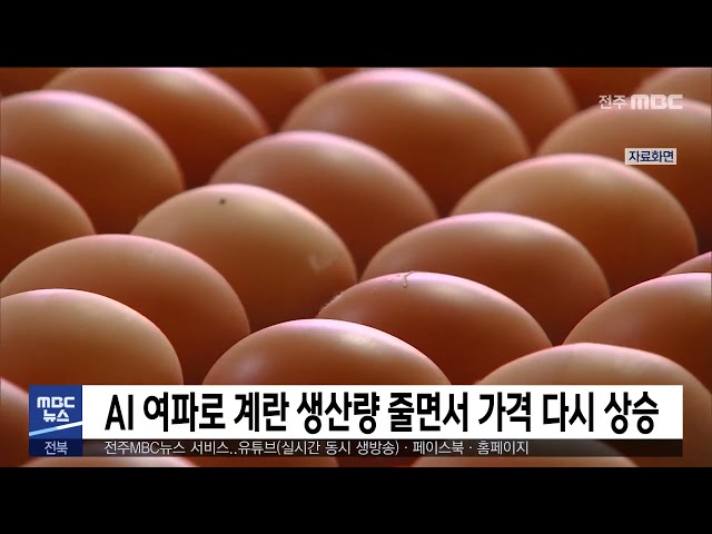 AI 여파로 계란 생산량 줄면서 가격 다시 상승