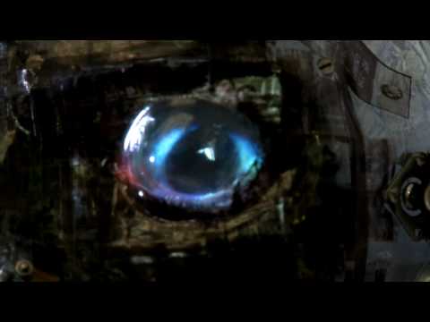 Cambridge Ideas - Seven Ages of the Body