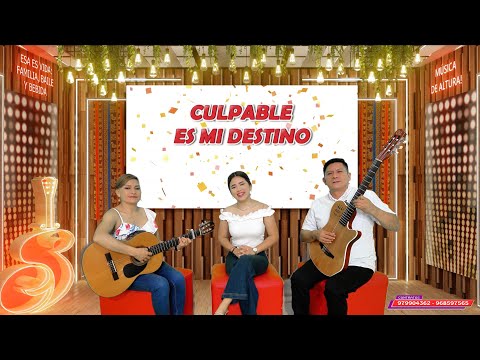 CULPABLE ES MI DESTINO - SENTIMIENTO Y ENCANTO