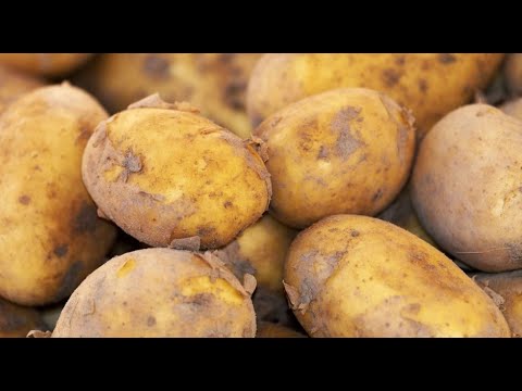 Jak w praktyce wygląda rolnictwo regeneracyjne?