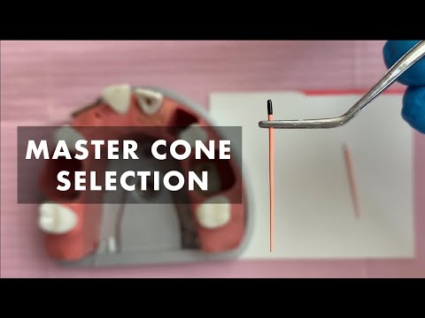 Preclinical laboratory demonstration - Master cone selection