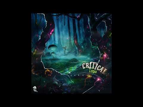 Critical & Piazer   Universe