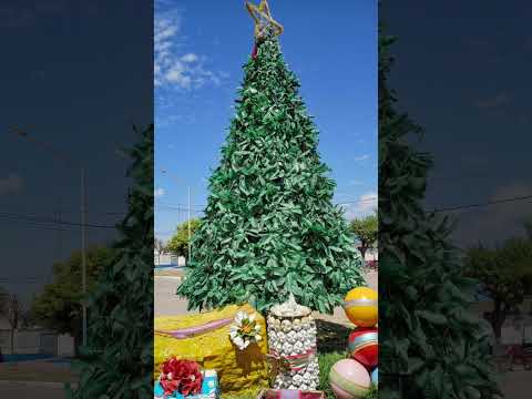 La Tigra 2026. Provincia de Chaco. Argentina