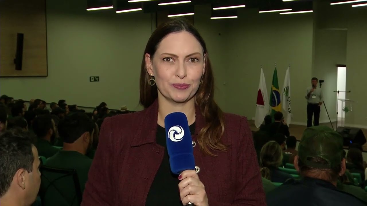 Pesquisa sobre a safra de café 2026 desperta interesse de cafeicultores
