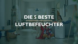 Die 5 Beste Luftbefeuchter Test