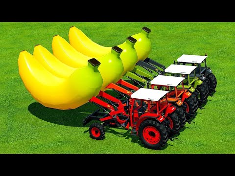 TRANSPORTING BIG BANANA FRUIT WITH COLORED FENDT TRACTORS - Farming simulator 22