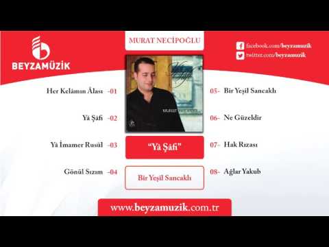 BİR YEŞİL SANCAKLI / MURAT NECİPOĞLU