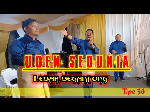 Udin Sedunia.Banyak macam Udin | cover Trio lebah TP 36 Minimalis