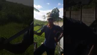 Download lagu Iwan Bopeng,Mulut mu Harimau Mu (TNI-AL Unjuk Gigi) mp3