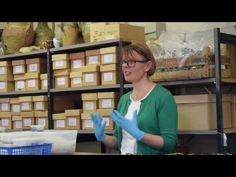 The Must Farm Textiles: Part Two Must Farm's Fibres and Fabrics