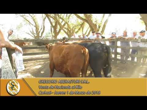 01-03-18 Venta de Gordo - Gregorio Aberasturi S.R.L. - Carhué