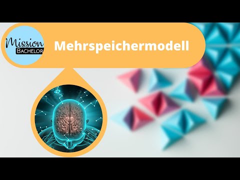 Mehrspeichermodell des Gedächtnisses | Einfach erklärt