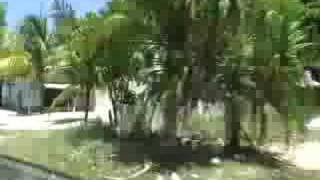 More of  Enewetak housing