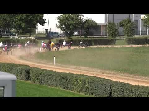 Trka "Mlava" 04.09.2021 Loretta - Miodrag Dimitrijević