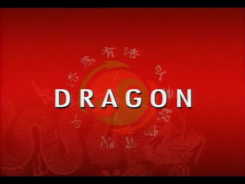 Bruce Lee: The Curse of the Dragon