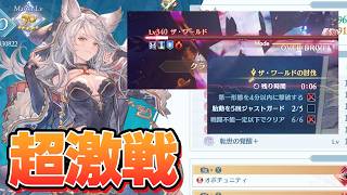 最高難易度『インフィニティ』情報集めて初見で挑んだら大激戦すぎるｗｗｗ【グラブルリリンク　エンドレスラグナロク】