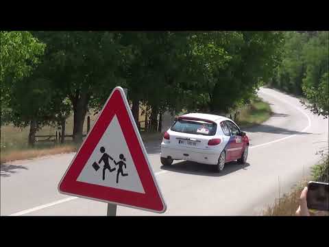 Nikola Jovic / Sanja Novakovic - 5. Rally Mionica 2021 - Peugeot 206 2.0