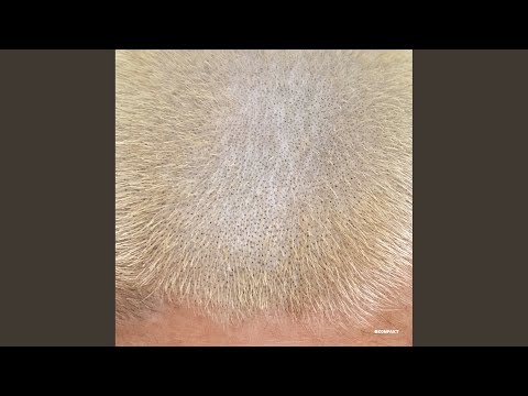 This Is for Decor Only