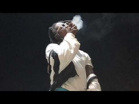 Never Gone Lose (Freestyle)