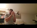 "A Night in Tunisia"  Trumpet solo (D.Gillespie)