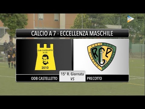 Sintesi Odb Castelletto - Precotto