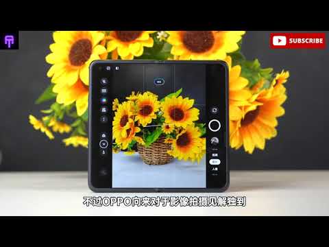 Oppo Find N -Camera Review -Zoom test