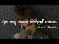 Oya Muwe Hasarel ඔය මුවේ හසරැල් Slow Reverb Supunzstudio