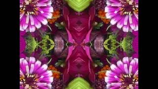 Gypsy Rider (by Gene Clark solo,  live at the Palomino, No. Hollywood, CA 1984)