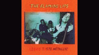 The Flaming Lips - Psychiatric Exploration of the Fetus With Needles